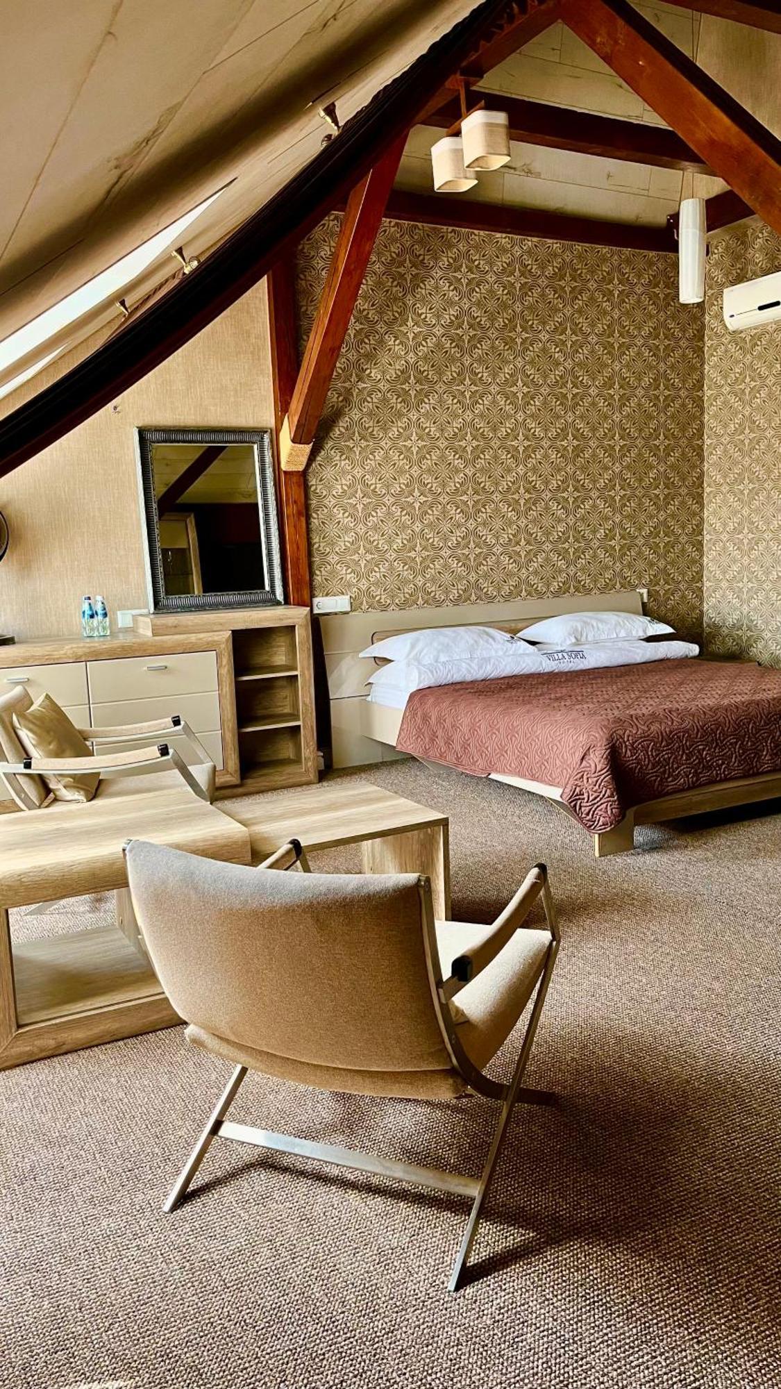 Villa-Sofia Mini-Hotel 敖德萨 外观 照片