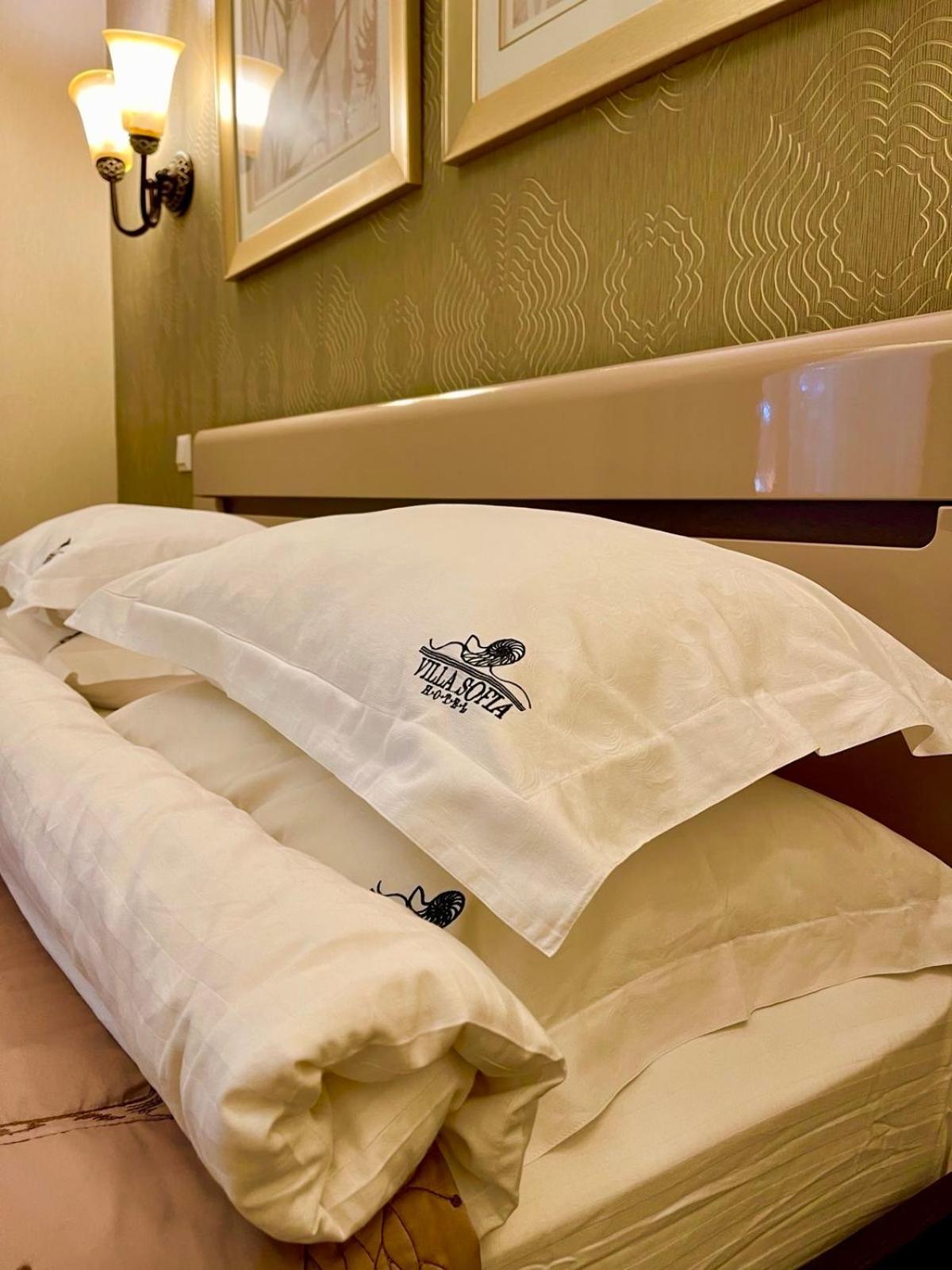 Villa-Sofia Mini-Hotel 敖德萨 外观 照片